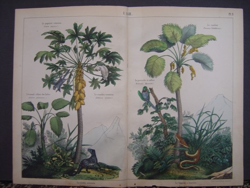 Image lithographie fasoli - lithographie,