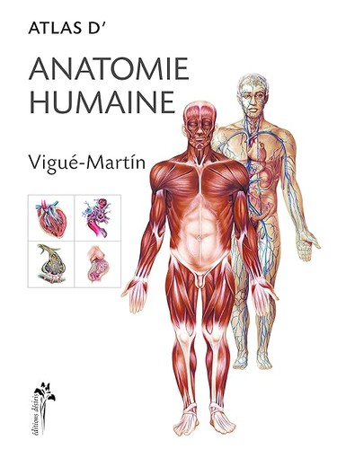 Atlas anatomie humaine - atlas,