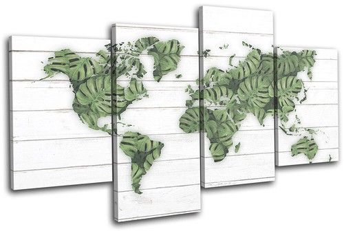 Monstera world map - monstera,