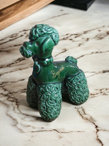 Caniche royal vert - caniche, et