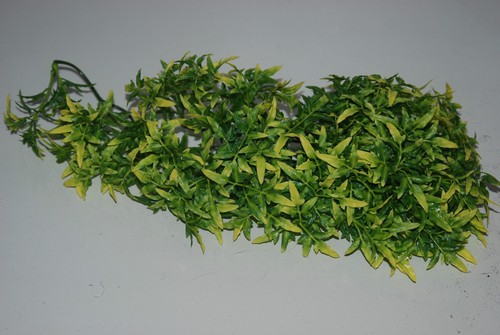Vivarium large jungle plante - vivarium,