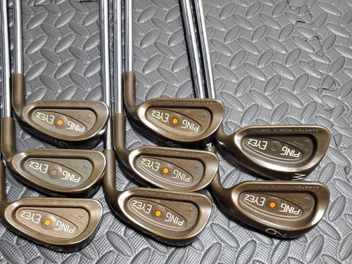 Ping ensemble fers eye2 - fers,