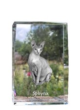Sphynx cristal avec - un, chat