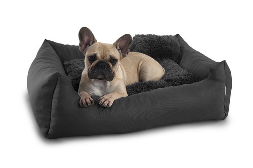 Gutekissen lit peluche pour - gutekissen,