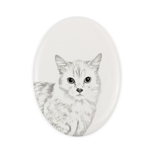 Chat munchkin une pierre - munchkin,