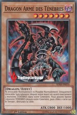 ♦Yu-Gi-Oh!♦ Dragon Armé des Ténèbres : SDSH-FR014 -VF/Commune-