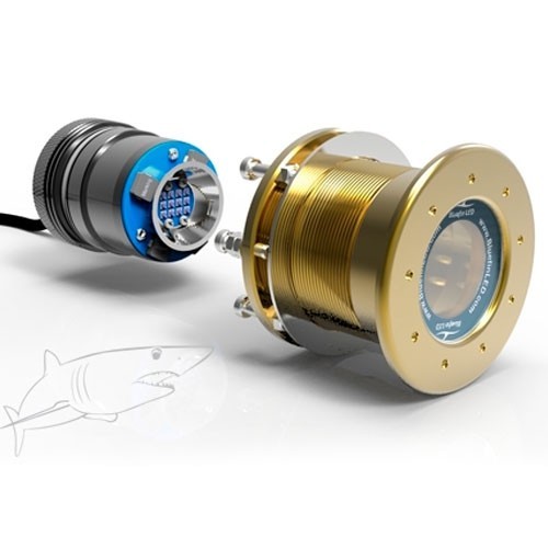 Led sous marine bluefin - bluefin, mako