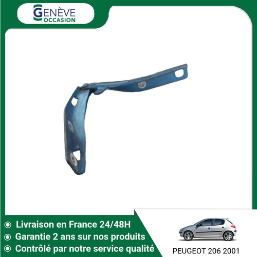 Compas gauche capot - 🇫🇷,