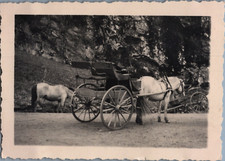 Norvège nordfjord voiture - norvège,,