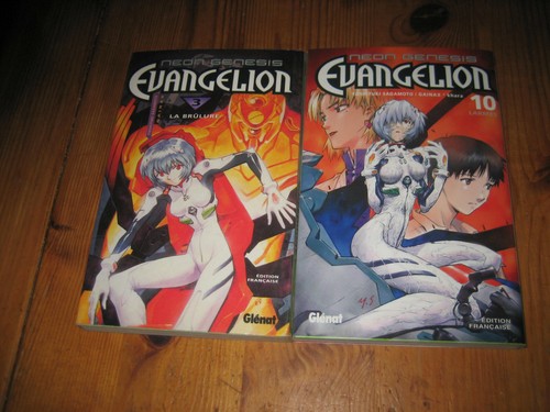 Lot mangas evangelion 3 10 - mangas,