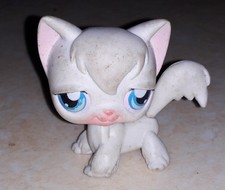 Petshop chat angora 9