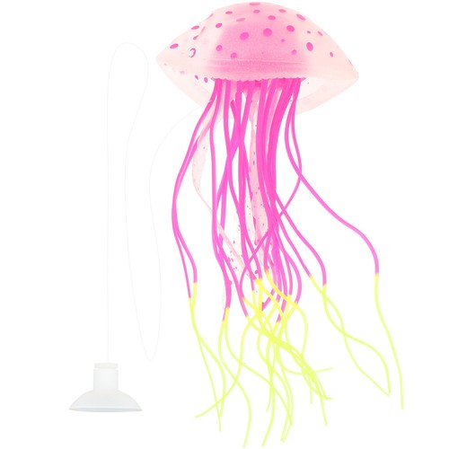 Aquariophilie accessoire - aquariophilie,