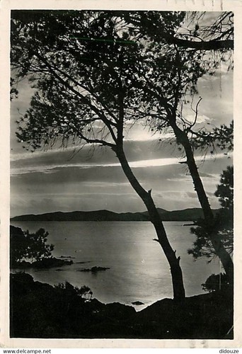 Carte postale alpes - -,