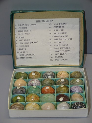 Boite collection oeufs - collection, 25