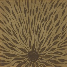 Willem Nyland - Piano Studies