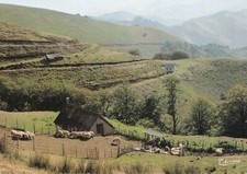 Carte postale postcard 10x15cm