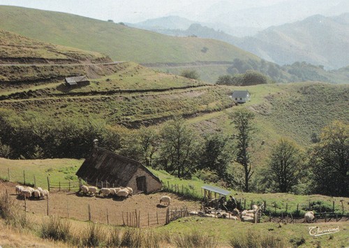 Carte postale postcard 10x15cm