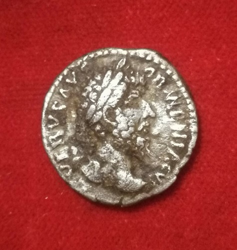 Romaine lucius verus - romaine,