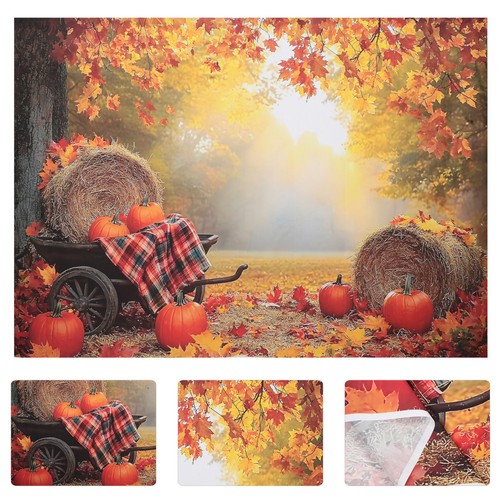 Tapis photographie ferme - tapis,