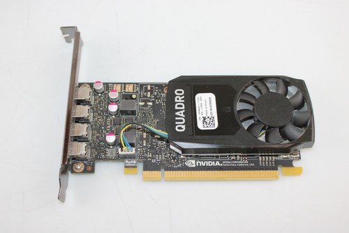 Nvidia quadro p1000 carte - quadro,