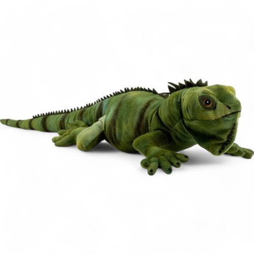 Iguane environ doudou - environ, cm