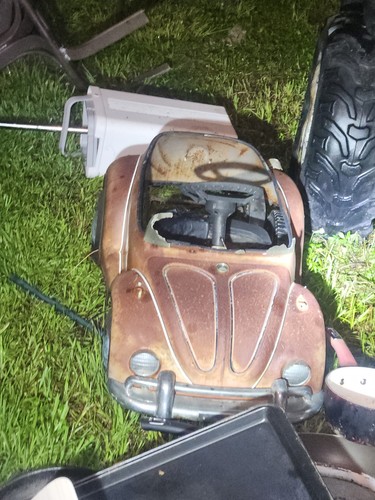 Vintage beetle style - beetle,