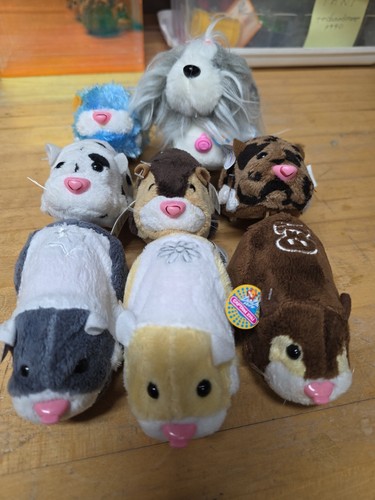 Zhu pets - zhu,