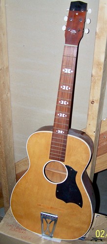 Harmony stella acoustic parlor - harmony,