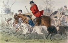 ÉQUITATION : ADULTE à CHEVAL