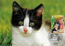 France, CM 2006, le chaton