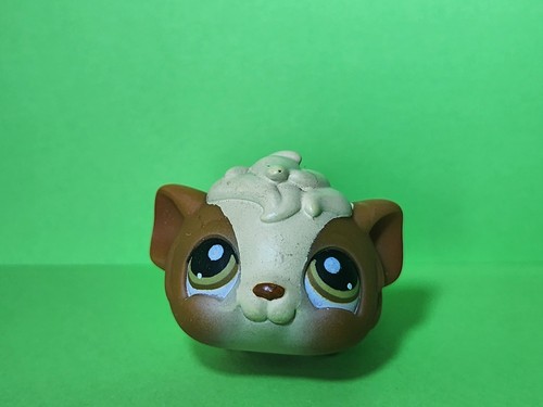Authentic lps littlest pet - lps,