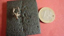 PINS CHASSE / TETE DE CERF   METAL  BRONZE