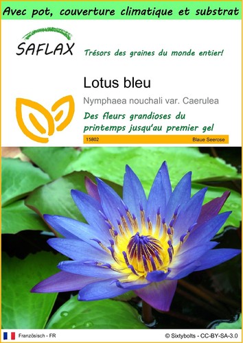 Saflax garden lotus - go,