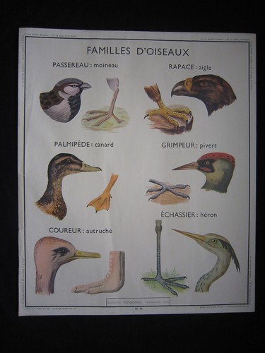 Y013 affiche scolaire - y013,