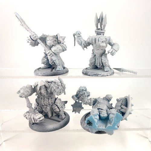 Trollblood battlegroup mk3 - x4,