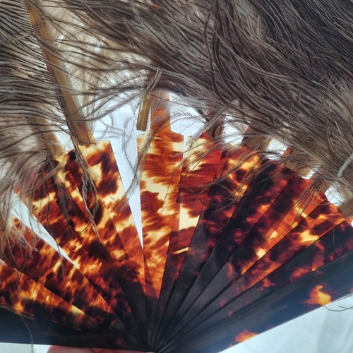 Eventail ecaille ancien plumes - ecaille,