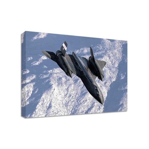 Blackbird encadré - blackbird,