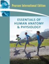 Essentiels De L'Anatomie
