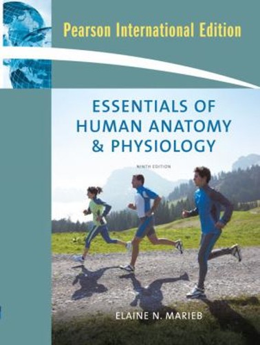 Essentiels anatomie - de, l'anatomie