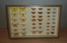 Ancienne vitrine boîte