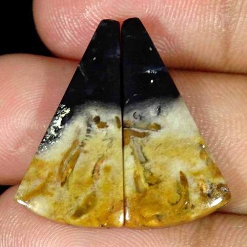 90cts naturel pétrifié - 16.90cts,