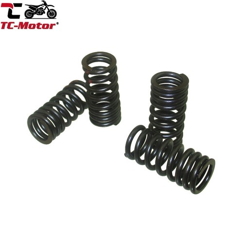 Motor valve springs - valve,