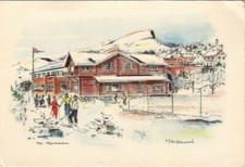 CPA AK Fefor Hoyfjellshotell