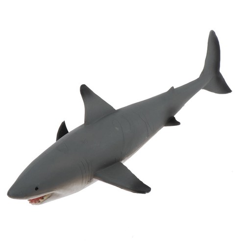 Réaliste modèle requin - modèle,