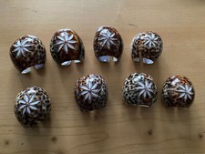 8 ronds de serviette coquillages  porcelaine tigre