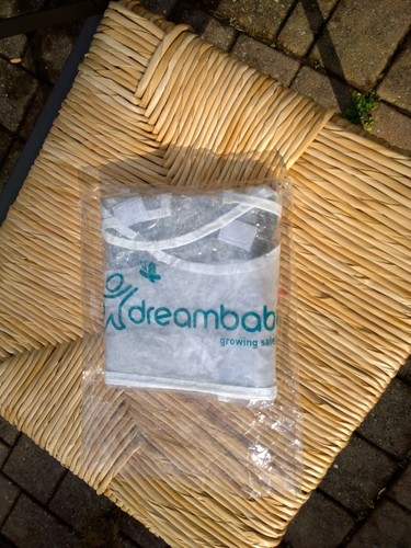 Dreambaby clear stroller - dreambaby,