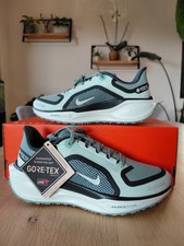 Nike Air Zoom Pegasus 41 GTX