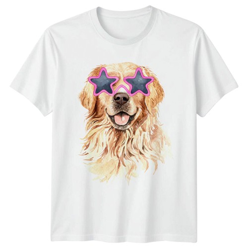 Golden retriever dog - retriever,