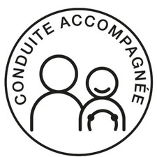 DISQUE ELECTROSTATIQUE "CONDUITE ACCOMPAGNEE"
