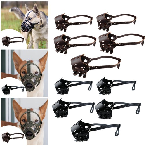 Muselière pour chien masque - pour,